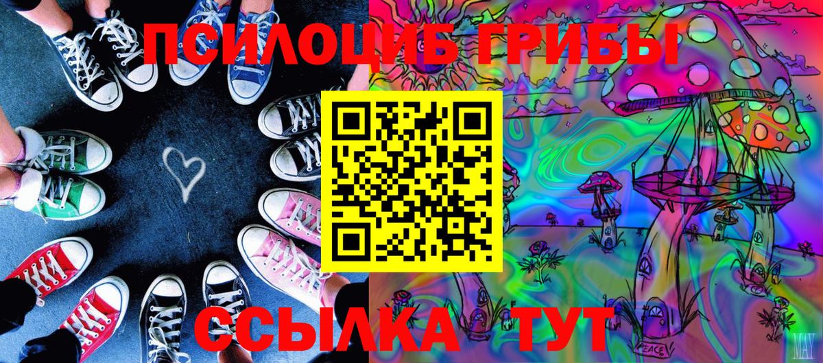 Елизово  Галлюциногенные грибы Psilocybe  Вход с VPN 